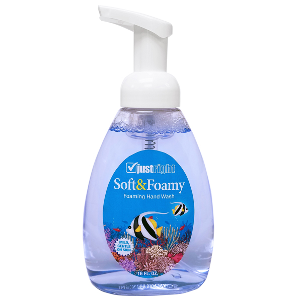 JUST RIGHT SOFT & FOAMY HAND SOAP