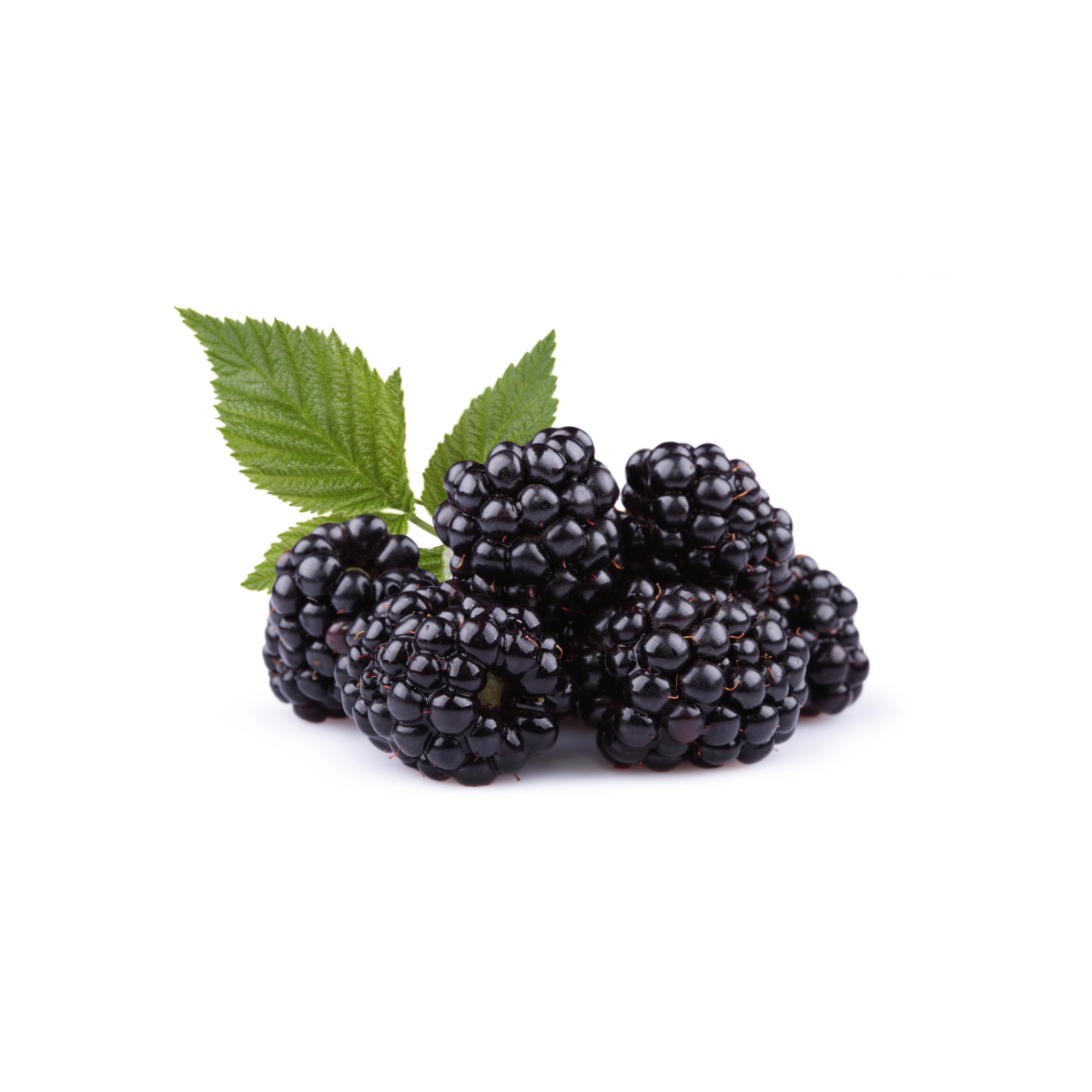 BLACKBERRY