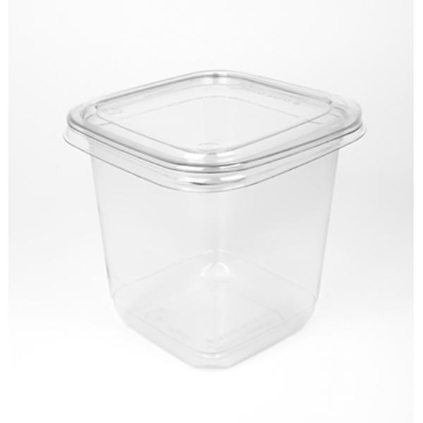 Eco Products Rectangular Deli Containers 24 Oz Clear Pack Of 200 Containers  - Office Depot
