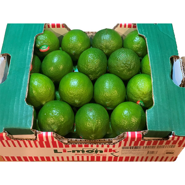 LIMES 36 COUNT