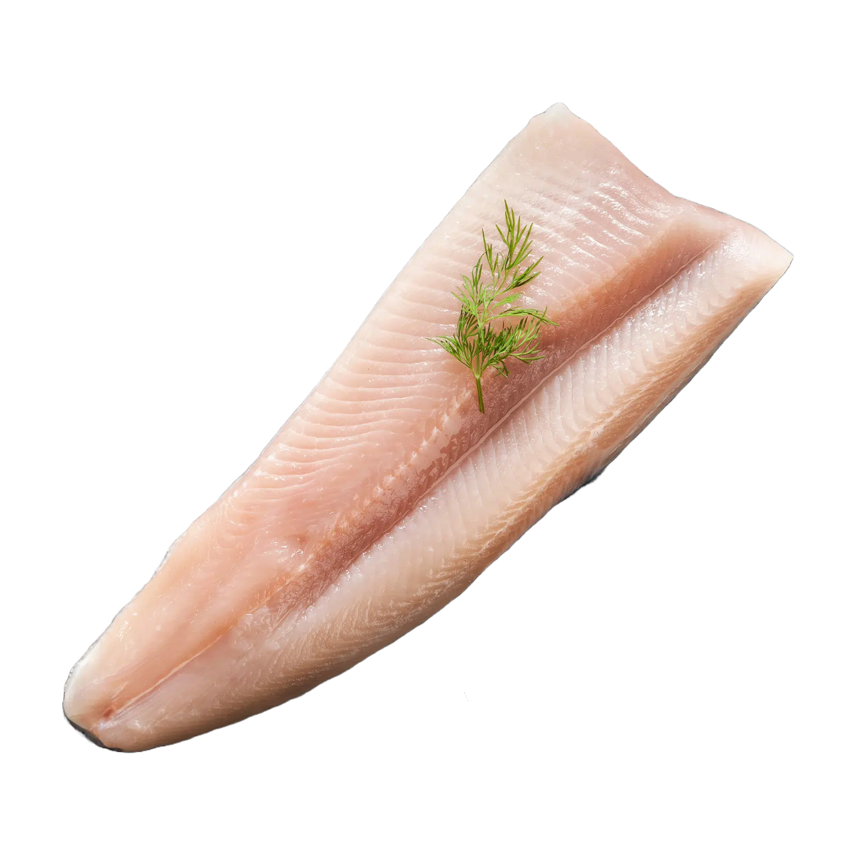 CLEAR SPRINGS RAINBOW TROUT FILLETS 5 OZ