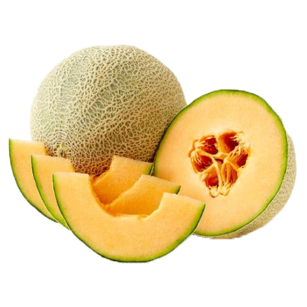 CANTALOUPE MELONS 9 COUNT