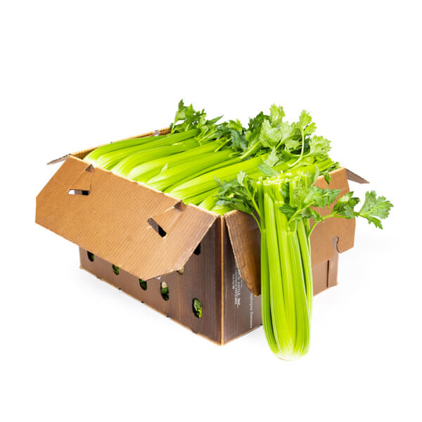 CELERY 24 COUNT