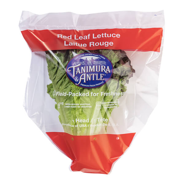 WRAPPED RED LEAF LETTUCE 18 COUNT
